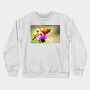 Are we late?...... ~ Gila National Forest, New Mexico USA Crewneck Sweatshirt